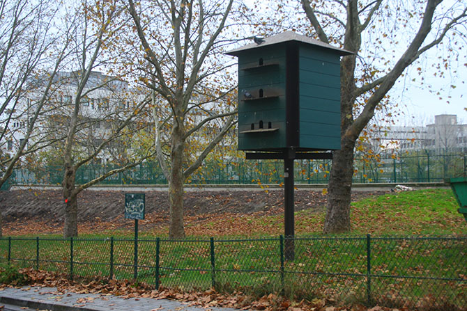 Un pigeonnier parisien - ©  F. Malher